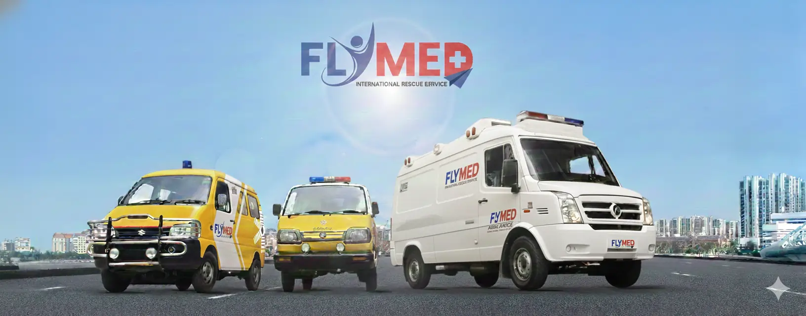 Biggest fleet of<br/>road ambulances